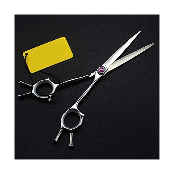 Jeu de coiffure Professionnel à deux queues ciseaux for les cheveux de la personnalité haut de gamme 6.0inch ciseaux coiffeur