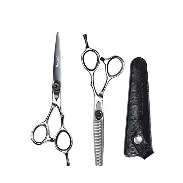 LIUSU Ensemble de Ciseaux, kit de Ciseaux de Coiffure Professionnels Haut de Gamme 6,0 Pouces 440C léger Coupe exquise Cise