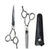 LIUSU Ensemble de Ciseaux, kit de Ciseaux de Coiffure Professionnels Haut de Gamme 6,0 Pouces 440C léger Coupe exquise Cise