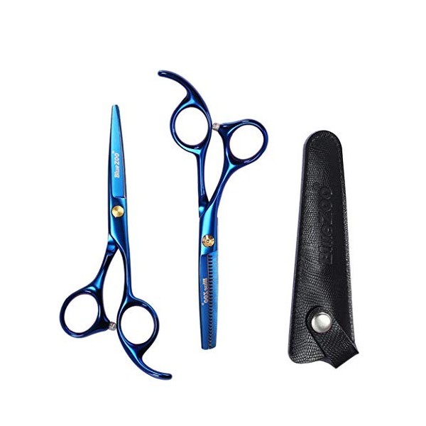 Ensemble de Ciseaux, Ciseaux à Cheveux Haut de Gamme de 5,5 Pouces Kit de Ciseaux de Coiffure Finition Miroir Coupe Sharp Exq