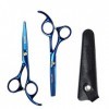 Ensemble de Ciseaux, Ciseaux à Cheveux Haut de Gamme de 5,5 Pouces Kit de Ciseaux de Coiffure Finition Miroir Coupe Sharp Exq