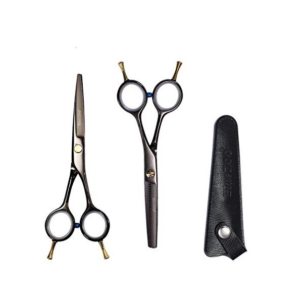 Ensemble de Ciseaux, Ciseaux à Cheveux Haut de Gamme de 5,5 Pouces Kit de Ciseaux de Coiffure Finition Miroir Coupe Sharp Exq