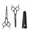 Ensemble de Ciseaux, Ciseaux à Cheveux Haut de Gamme de 5,5 Pouces Kit de Ciseaux de Coiffure Finition Miroir Coupe Sharp Exq