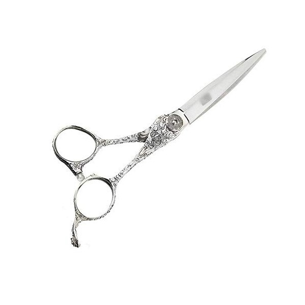 GaoF Ensemble de Coiffure Professionnel pour Coiffeur de 5,5 Pouces / 6 Pouces, Ensemble doutils de Ciseaux Plats de Coiffur