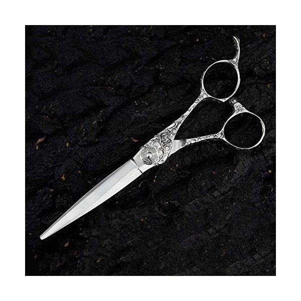 GaoF Ensemble de Coiffure Professionnel pour Coiffeur de 5,5 Pouces / 6 Pouces, Ensemble doutils de Ciseaux Plats de Coiffur