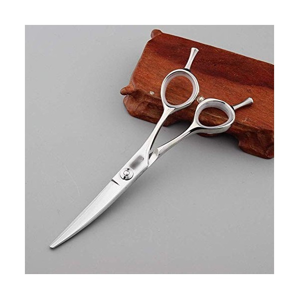 JKCKHA 5.5 Pouces Professionnel Salon de Coiffure Haut de Gamme Haircut Plat Ciseaux Ciseaux de cintrage Couleur: Argent 