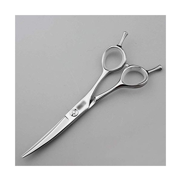 JKCKHA 5.5 Pouces Professionnel Salon de Coiffure Haut de Gamme Haircut Plat Ciseaux Ciseaux de cintrage Couleur: Argent 