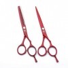 Coiffure rouge professionnel Ciseaux personnalité 6.0 pouces Droitière Set 440C premium Barber Scissor Texture Dilution Cisea