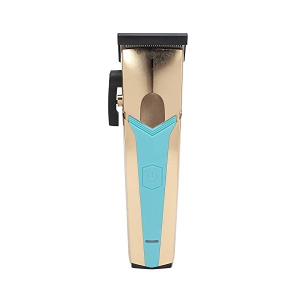 Tondeuse à Cheveux Professionnelle pour Hommes, Outil de Toilettage Rechargeable pour Salon de Maison et Peignes de Guidage