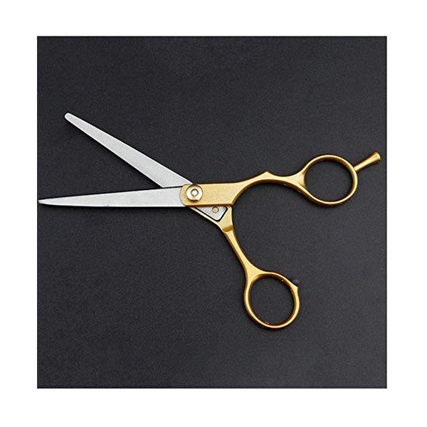 Ensemble de coiffure Salon de beauté Outils de coupe Salon de coiffure Coiffureciseaux de coupe de cheveux Outils de coiffure