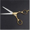 Ensemble de coiffure Salon de beauté Outils de coupe Salon de coiffure Coiffureciseaux de coupe de cheveux Outils de coiffure