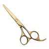 Ciseaux de coupe de cheveux de coiffure Cutters Ciseaux de coupe de cheveux amincissants Set for Styling Tools Salon Salon To