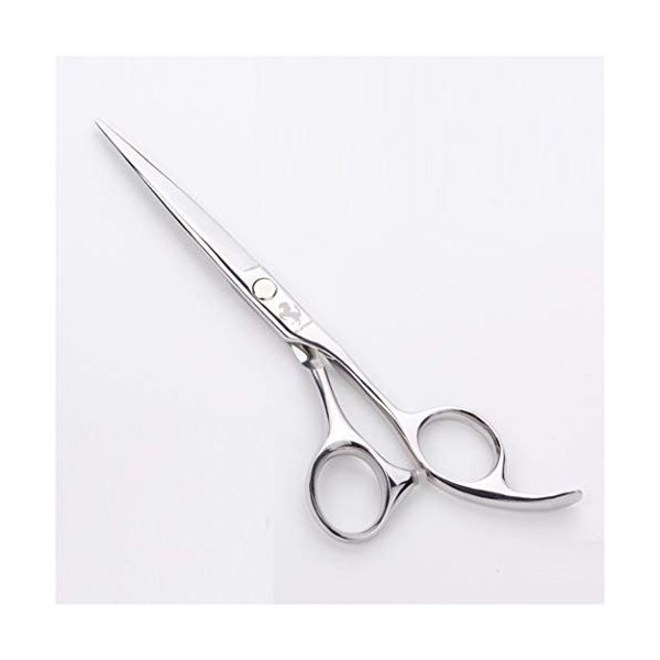 LIUSU Ensemble de Ciseaux, Ciseaux de Coupe de Cheveux Professionnels 15,2 cm Ensemble de Ciseaux de Coiffure 440C Sharp Silv