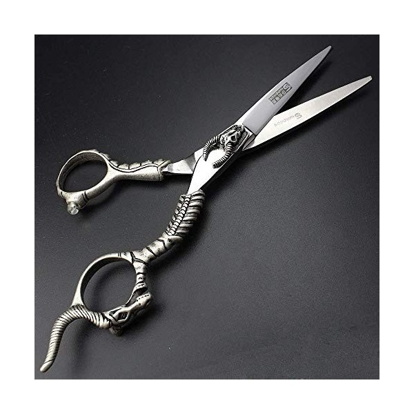 AXEMOORE Lot de ciseaux de coiffure professionnels en acier inoxydable 14 cm pour homme et femme