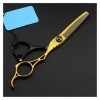 Générique Cisailles pour la Coupe de Cheveux 6 Pouces Or Creux Ciseaux, Coupe de Cheveux Amincissante, Coiffeur, Ciseaux de C