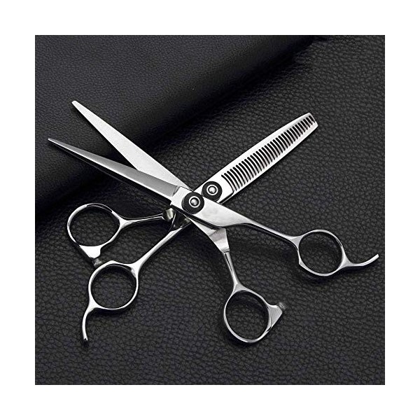 GaoF Ensemble de Coiffure Professionnel de 6 Pouces, Ensemble doutils de Ciseaux Plats de qualité en Acier Inoxydable + Cise