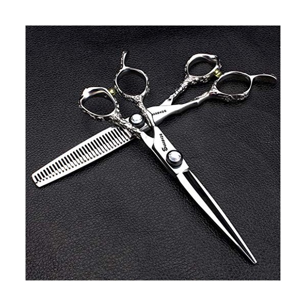 Argent 6,0 Pouces Ciseaux de Coupe Professionnelle Cheveux - Coiffure Dilution Cisailles Salon de Coiffure Salon Haut de Gamm