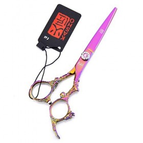 Ciseaux De Coiffure Professionnel Set, 6,0 Pouces Ciseaux De Coupe De Cheveux en Acier Inoxydable 440C Ciseaux Droits Ciseau