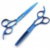 Ciseaux de coupe professionnels bleus 440c, 6.0 pouces, ensemble de ciseaux amincissants pour coupe de cheveux, Style Salon d