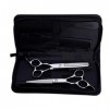 Chaomeiart Ciseaux De Coiffure Professionnelle Main Gauche Set 6.0 Dilution Ciseaux Barber Plat Dents Cut Ciseaux Japon Acier