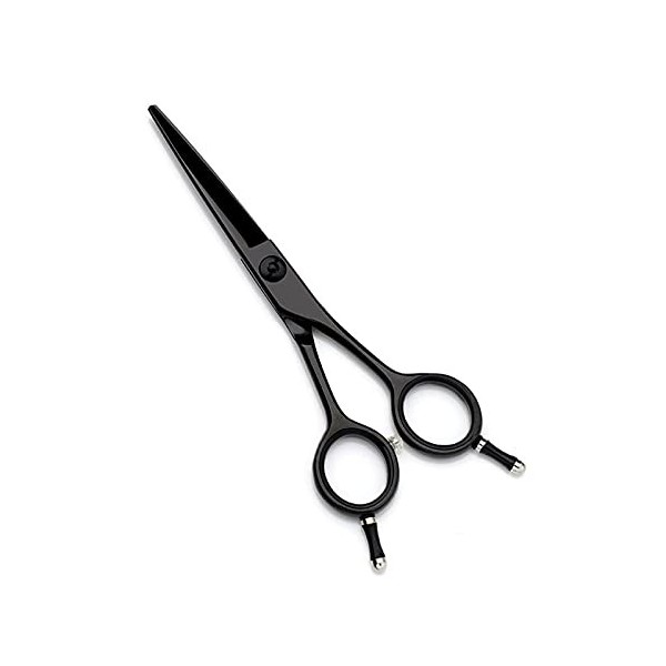 Tondeuses à cheveux pour hommes, galvanoplastie noire de 5,5 pouces, ciseaux de coiffure professionnels, ciseaux de coiffure 