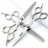 Ciseaux de coiffeur 440 C de 6/6,5/7 pouces - Haute dureté - Motif fin professionnel - Pour salon de coiffure - Outil de coup