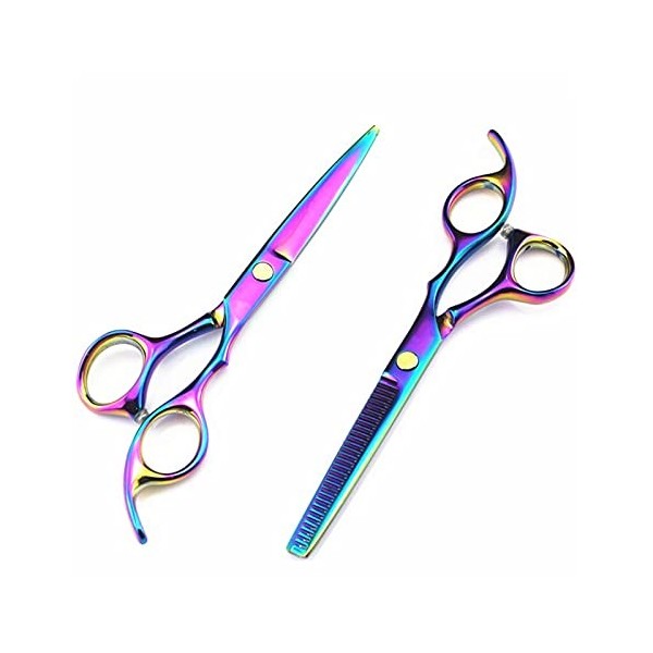 Ciseaux de coupe de cheveux Rainbow Barber de 5,5/6 pouces