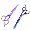 Ciseaux de coupe de cheveux Rainbow Barber de 5,5/6 pouces