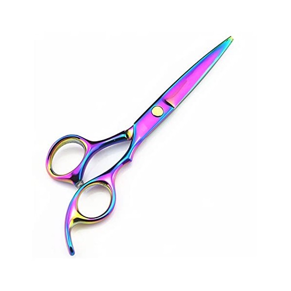 Ciseaux de coupe de cheveux Rainbow Barber de 5,5/6 pouces