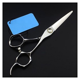 Ciseaux de coiffure à roulement de 6 pouces Ciseaux de maquillage Ciseaux à dents de coiffeur amincissants Ciseaux de coiffeu