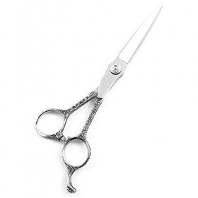 Ciseaux De Coiffure Professionnels 440C Ciseaux De Coiffeur En Acier Set Ciseaux Ciseaux De Cheveux Qualité Salon 6 Pouces,Ar