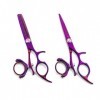 5,5 Pouces Violet Rotatif Poignée Cheveux Ciseaux Professionnel Coiffure Ciseaux Coupe De Cheveux Amincissement Ciseaux Set,V