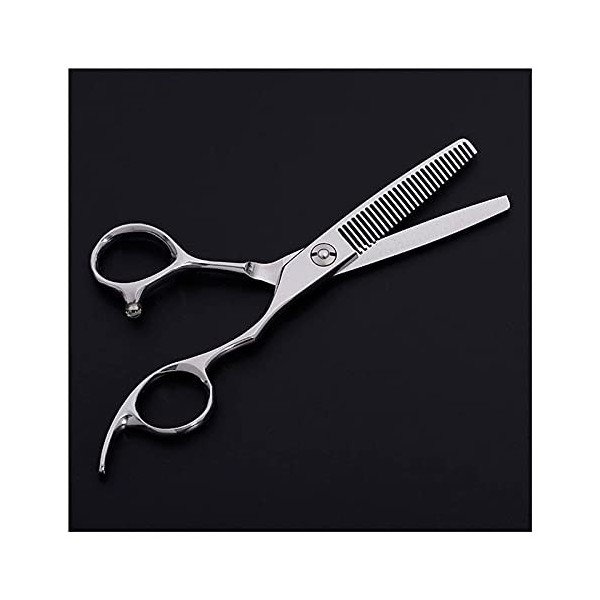 QZH Ciseaux de Coiffure de 5,5 Pouces, Ciseaux de Coiffure Professionnels pour Coiffeur, Ciseaux à Dents, Ciseaux Amincissant