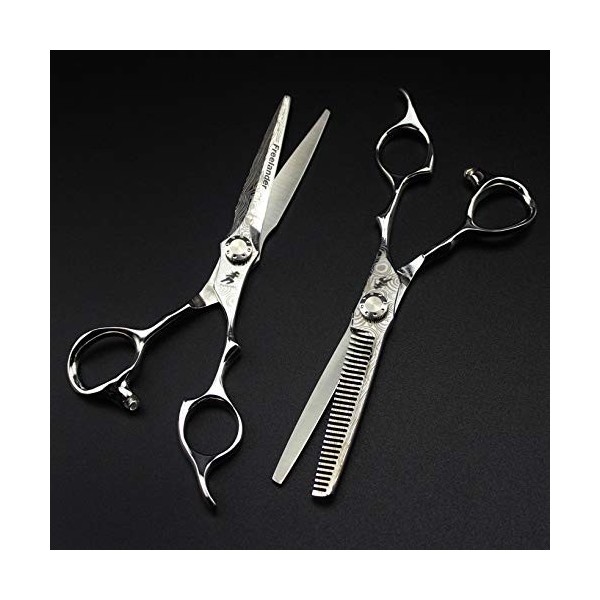 CXYY Importer 6,0 Pouces Professionnel Argent épée Double Face Ciseaux de Coiffure Ensemble, idéal pour Les débutants et Les 