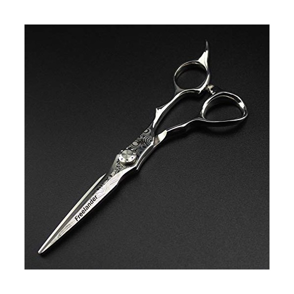 CXYY Importer 6,0 Pouces Professionnel Argent épée Double Face Ciseaux de Coiffure Ensemble, idéal pour Les débutants et Les 