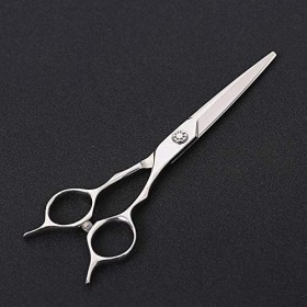 Minicocock 6 Pouces Coiffeur Professionnel Haut de Gamme Ciseaux Plat Cisaillement Coiffure Color : Silver 
