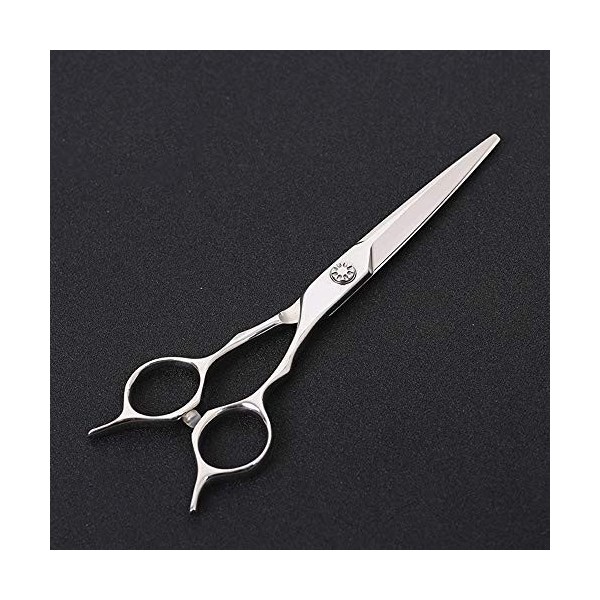 Minicocock 6 Pouces Coiffeur Professionnel Haut de Gamme Ciseaux Plat Cisaillement Coiffure Color : Silver 