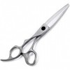 Ciseaux de coiffure Série pour gauchers Coupe nette et précise Coupe de cheveux pour gaucher Ciseaux de coiffeur Kit doutils