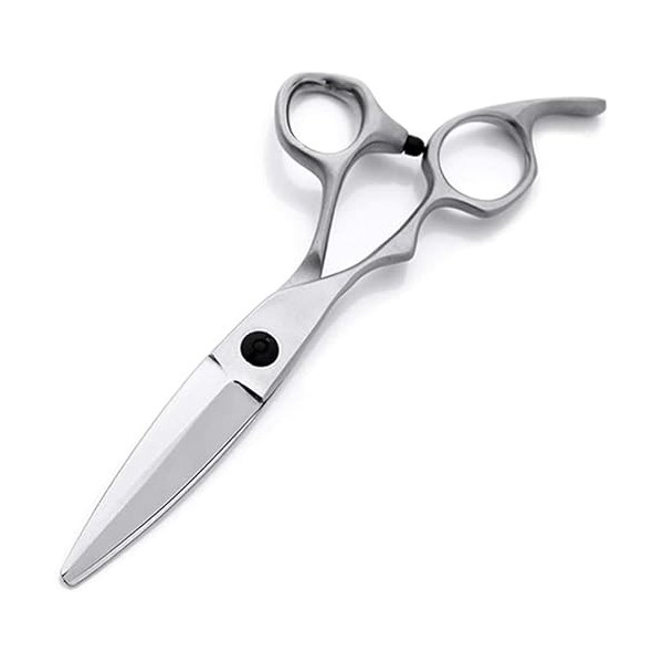 Ciseaux de coiffure Série pour gauchers Coupe nette et précise Coupe de cheveux pour gaucher Ciseaux de coiffeur Kit doutils