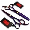 Ciseaux de coiffeur 6 pouces ensemble de coiffure professionnel violet ciseaux de coiffure cisaillement plat + ensemble de ci