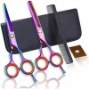 Kit de ciseaux de coupe de cheveux Ensemble de ciseaux de coiffure couleur de 5,5 pouces Ciseaux à dents en acier inoxydable