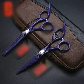 Générique Ciseaux de Coiffeur 6.0 Pouces Peinture Ciseaux de Coiffure Ensemble Ciseaux de Coiffure Haut de Gamme Ciseaux à De