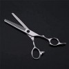 Ciseaux de coiffeur ciseaux de coiffure professionnels ensemble de ciseaux amincissants 440C poignée de Dragon dor 6 pouces 