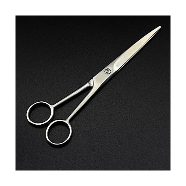 Ciseaux de coiffure pour barbier, ciseaux de coupe, ciseaux professionnels pour cheveux humains couleur : 5 pouces 5 pouce