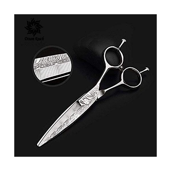 Professionnel 6 pouces de précision Twin Tail Razor Edge Ciseaux de coiffeur en acier inoxydable Ciseaux-coupe de cheveux, co