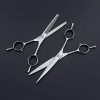 SEESEE.U Professionnel 6 Pouces Haut de Gamme Twin Tail A Style Razor Edge Hair Cutting Thinning Shears/Scissors Set for Barb