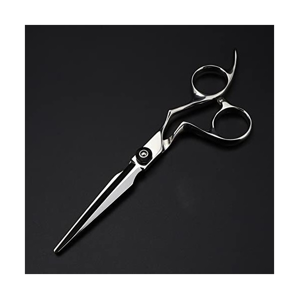 ciseaux de coiffeur Ciseaux De Coupe De Cheveux, 6 Pouces Professionnel Japon 440c Acier Haut De Gamme Ciseaux De Cheveux Cou