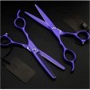 Ciseaux de coiffeur 6 et 5,5 pouces Voilet Cut Ciseaux à cheveux Set Coupe Barber Ciseaux amincissants Ciseaux de coiffure