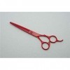 Ciseaux de coiffeur Ensemble de ciseaux de coiffure professionnels 5,5 pouces Ciseaux de coupe de cheveux Combinaison Rouge V