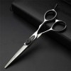 DarbuT Office Scissors,Craft Scissors,Professional Japanese 440c 6 Cut Hairdressing Scissors Flat Cut Barber Hairdressing Sci